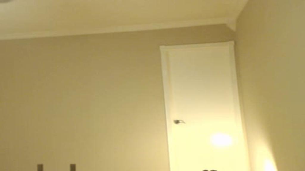 tash_ download [2016/11/11 04:50:53]