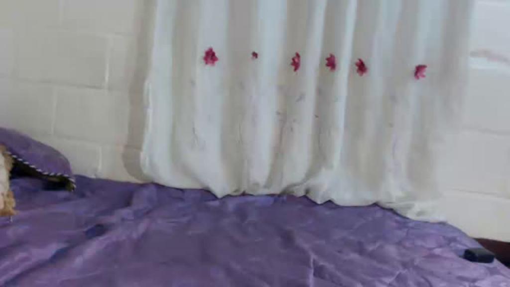 fhaysal download [2017/01/06 05:20:26]