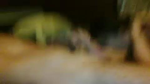 goodfuck19 download [2016/10/22 14:55:27]