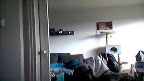 schwarzehex2 adult [2016/10/19 09:35:35]