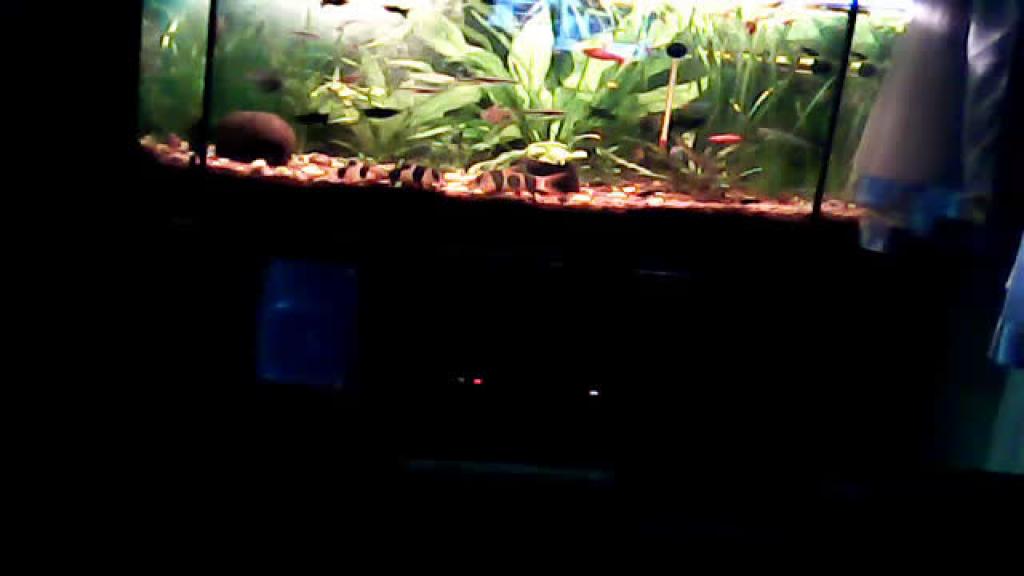 agusia54 porno [2016/11/19 16:40:51]