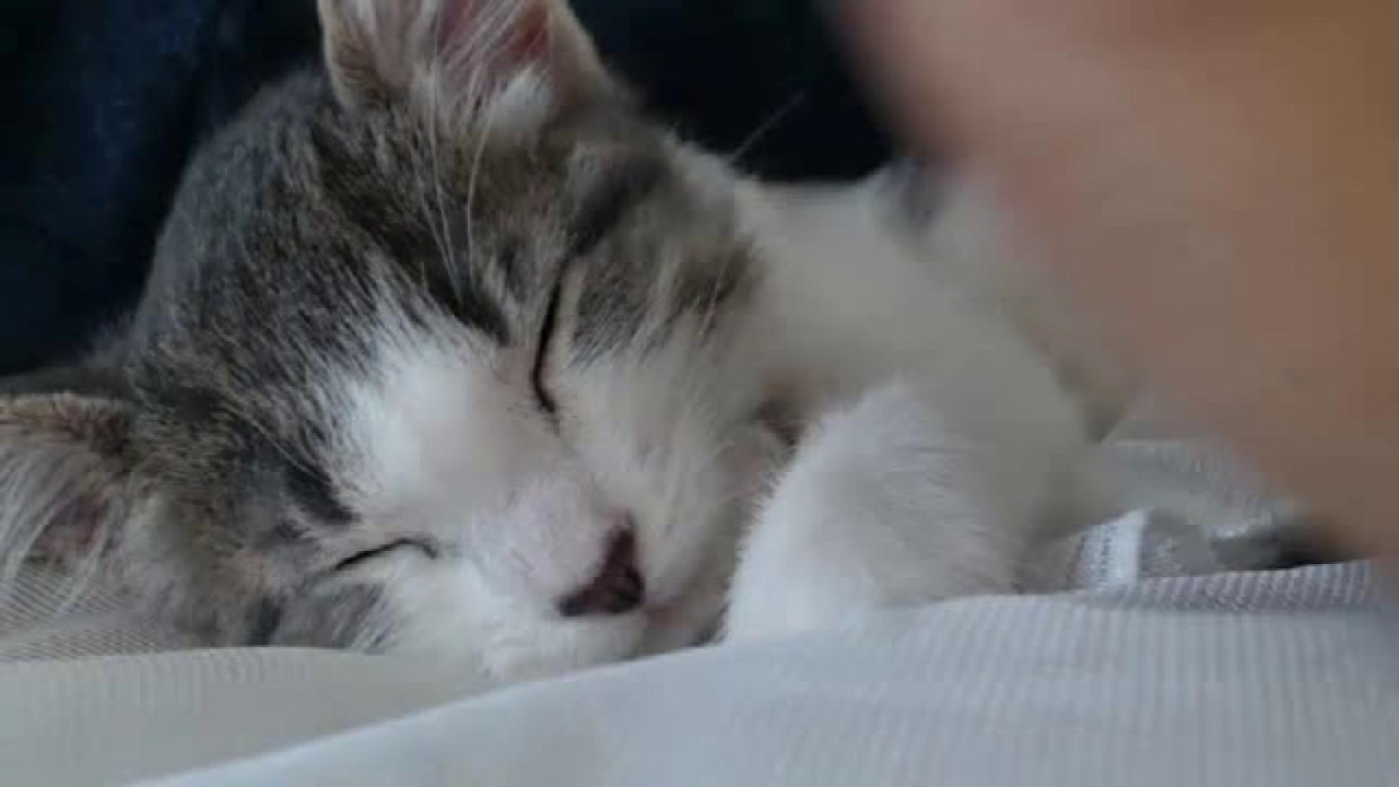 tatysinner3 download [2016/11/11 20:05:52]