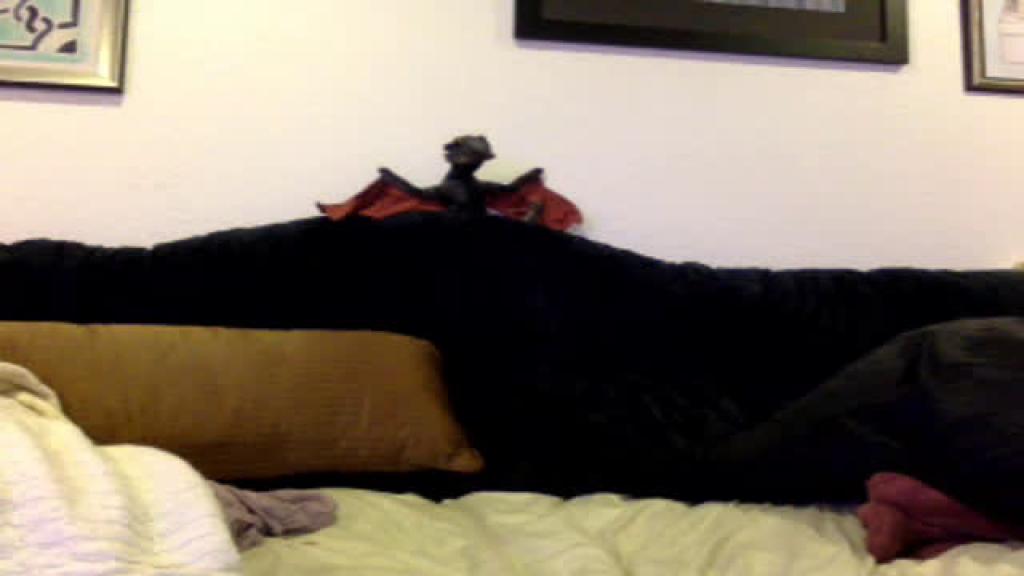 dragonqueen porno [2016/12/10 13:10:53]