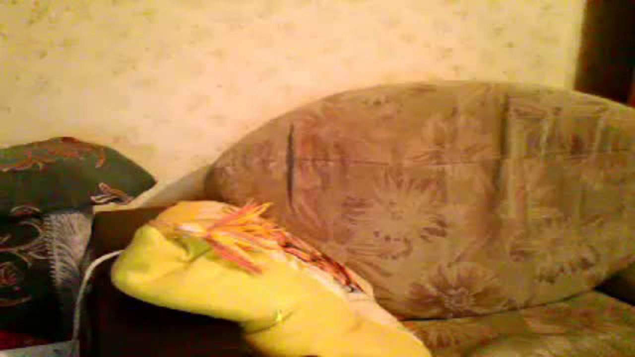olgasex12 video [2016/10/26 23:06:29]
