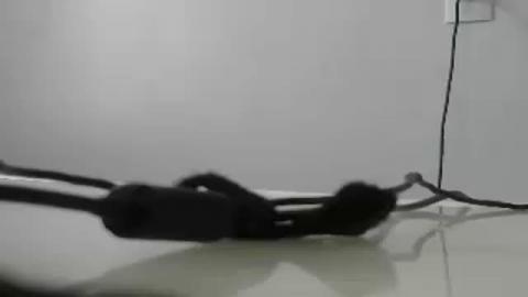 lili29sexy