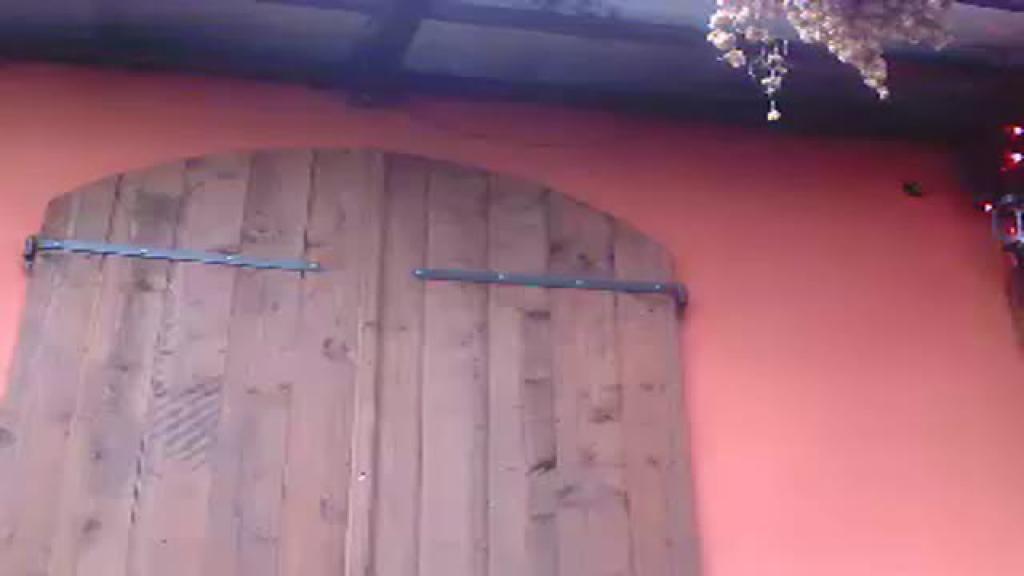cecen80 webcam [2016/11/20 08:40:27]