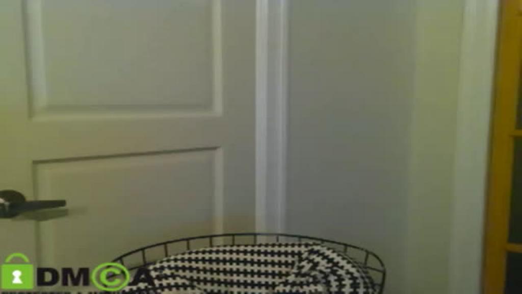 katocam porno [2016/12/07 04:20:34]