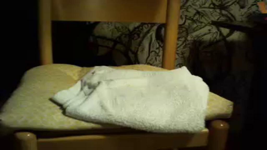 ucgreek Pussy Video [2017/06/10 - 01:20:56]