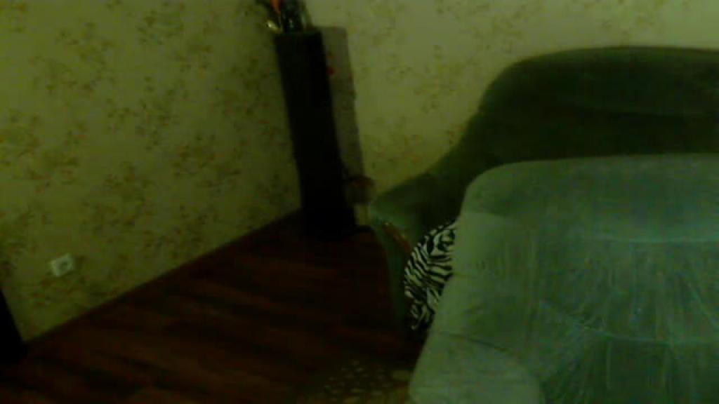 sweetbead adult [2016/12/15 14:57:26]