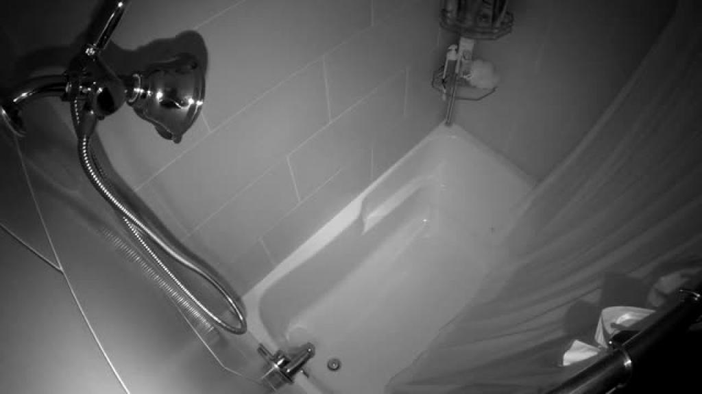 showercam Dildo [2017/05/14 - 08:46:34]