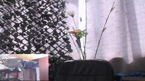 alison_vega sex [2016/11/03 18:30:53]
