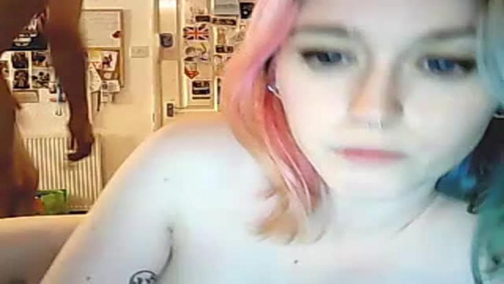 kittengrl video [2016/12/08 21:45:35]