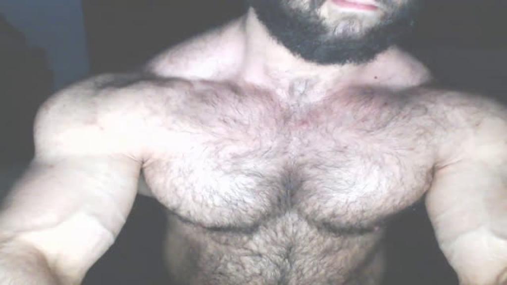 hairymusclegod download [2016/12/15 06:40:39]