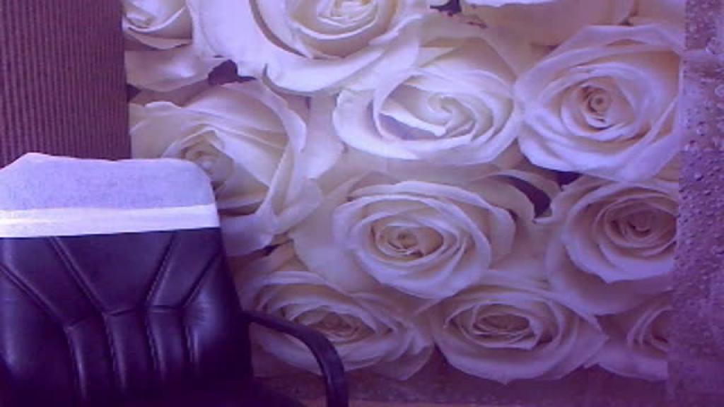 angelshezel webcam [2017/01/30 14:02:51]