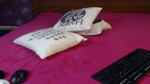 sweet__alexa video [2016/10/19 19:17:02]