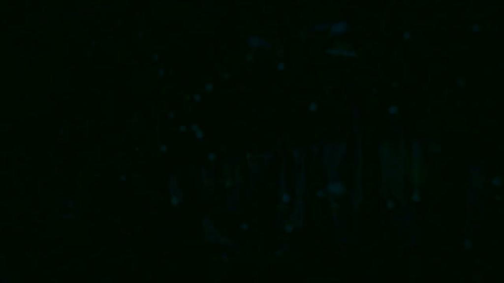 lolla_x recorded [2017/01/16 00:15:42]