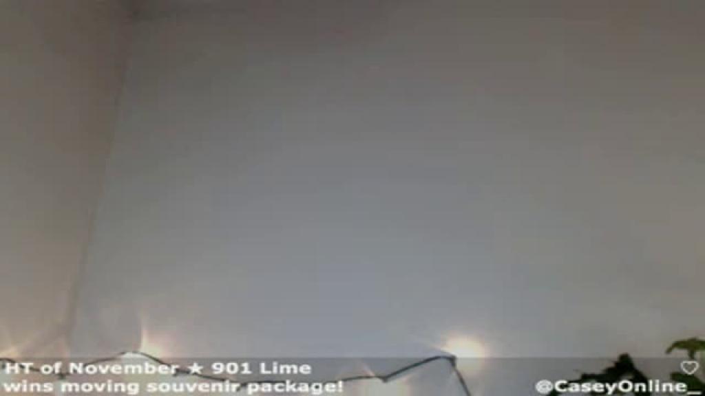 caseyonline_ show [2016/12/01 07:00:27]