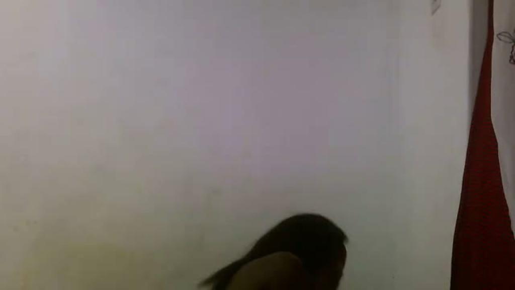 brownchocolate911 Dildo Video [2017/05/16 - 03:35:27]