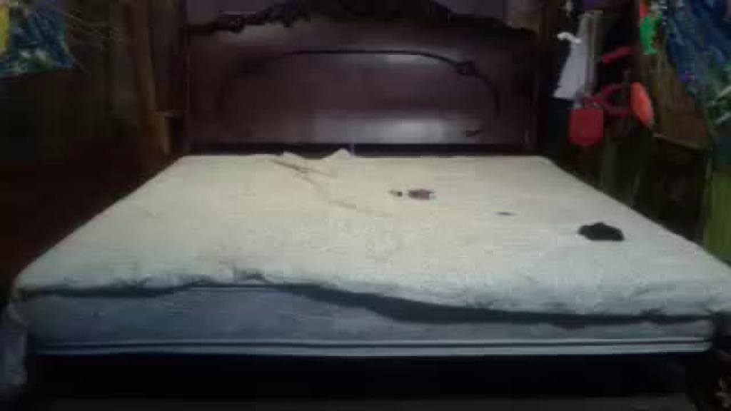 jessica_starr video [2016/11/20 23:55:37]