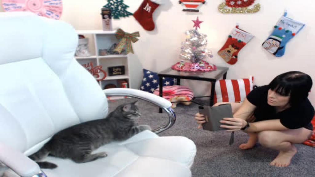 americanqt porno [2016/12/04 03:01:09]