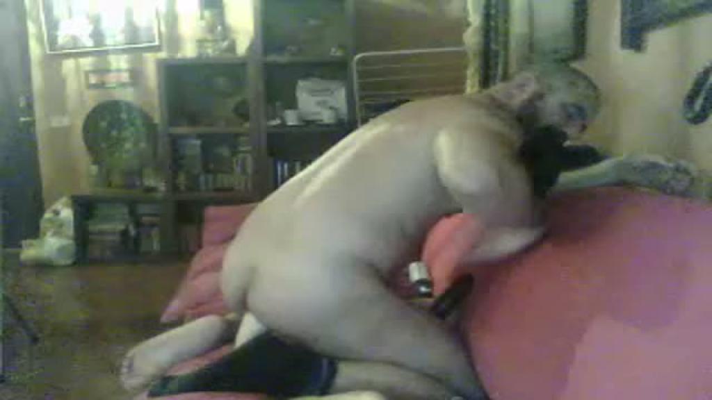 roberttosexy recorded [2016/10/25 02:36:06]