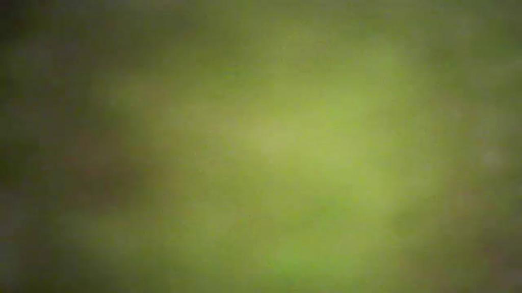 iwona466 show [2016/11/17 08:10:47]