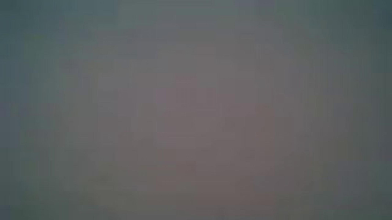 gata_q_bebe adult [2016/10/22 10:06:09]