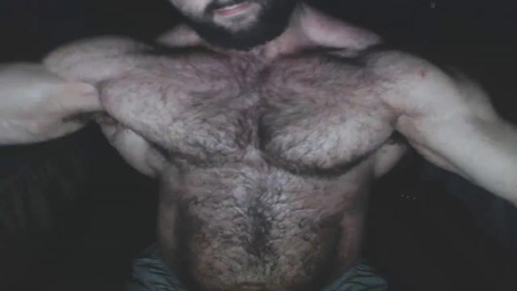 hairymusclegod download [2016/10/14 21:50:32]