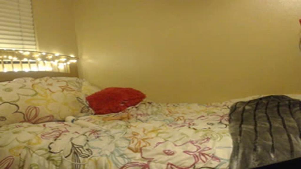 ohhhava Doggy [2017/06/08 - 08:30:43]