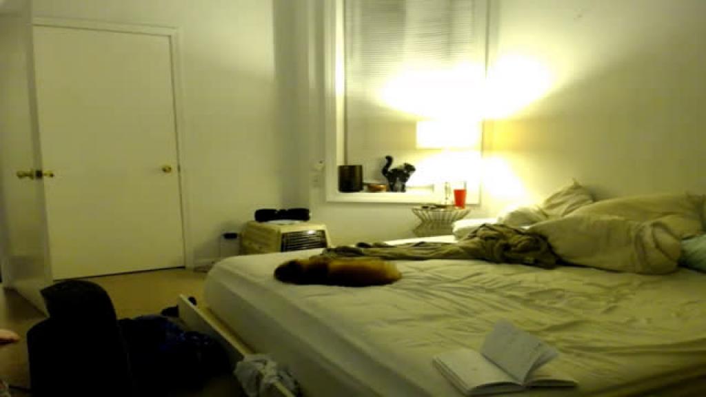 msscarletryan