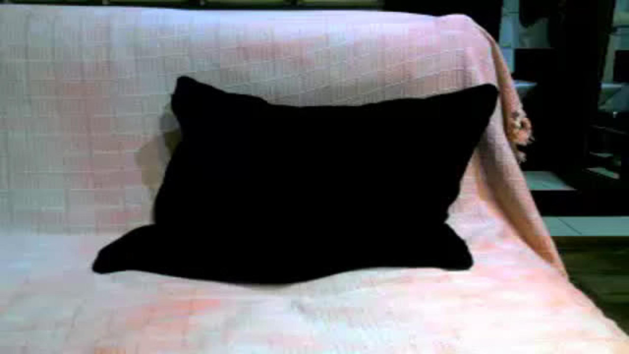 miss_amira video [2016/10/23 17:15:29]