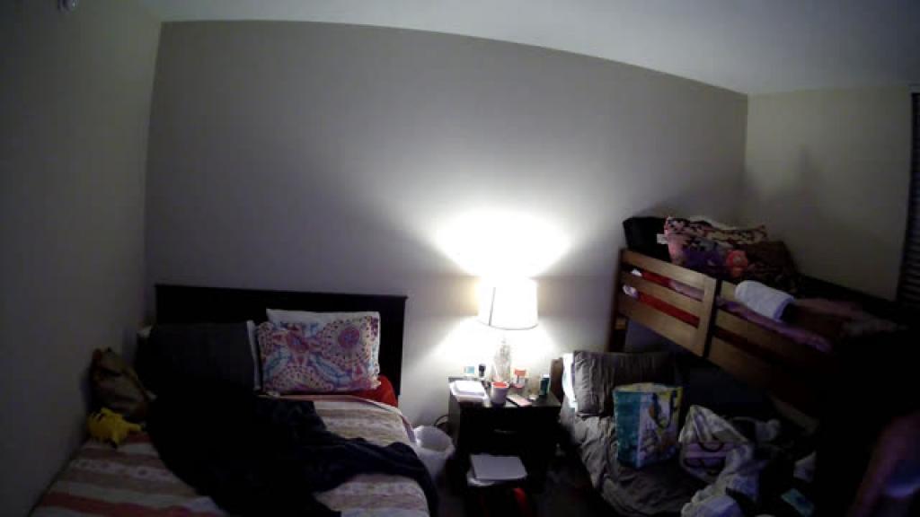 thehornyhostel-bedroom recorded [2016/11/23 00:10:53]