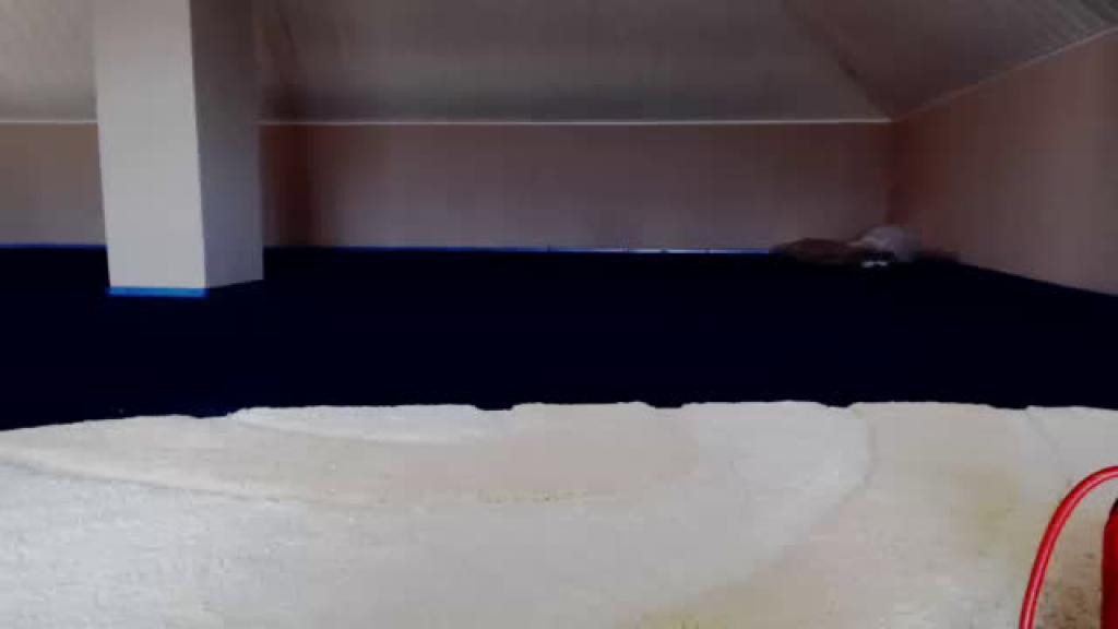 mirage_dream Group Show [2017/06/25 - 14:40:14]