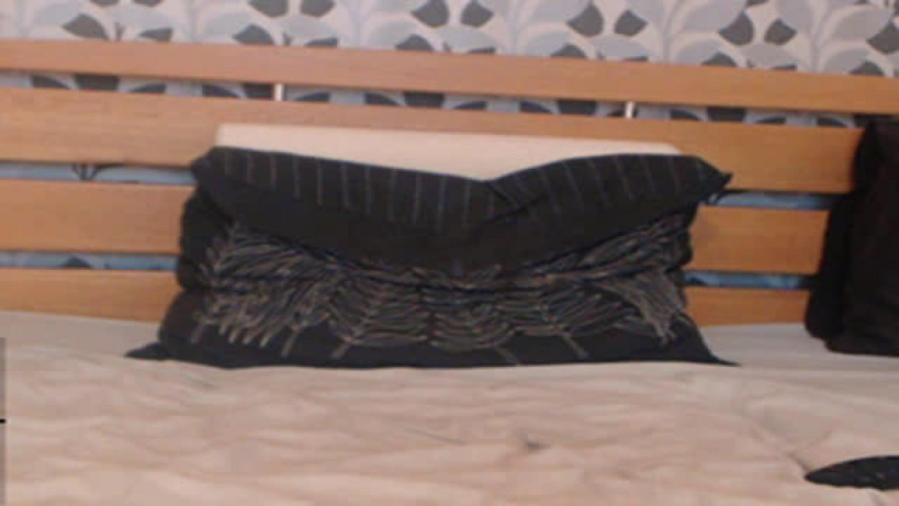 kelywild adult [2016/11/19 13:37:14]