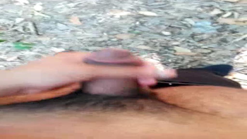 marans88 Boy [2017/06/22 - 08:12:57]