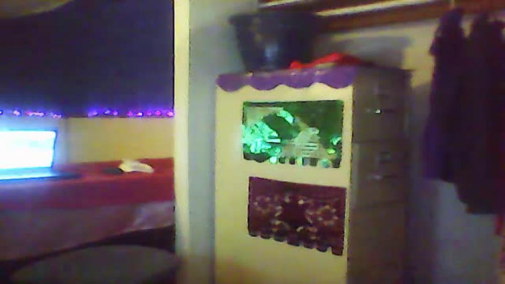 shellygirl123 download [2017/01/02 09:45:46]