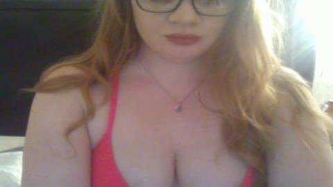 gingermeow