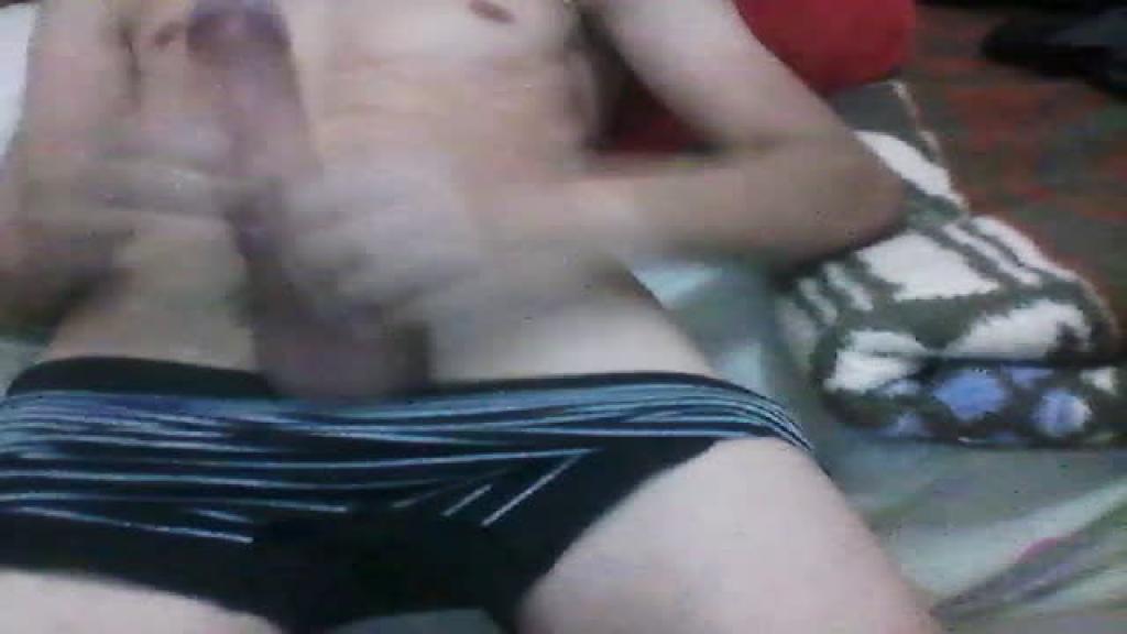 novinho19d