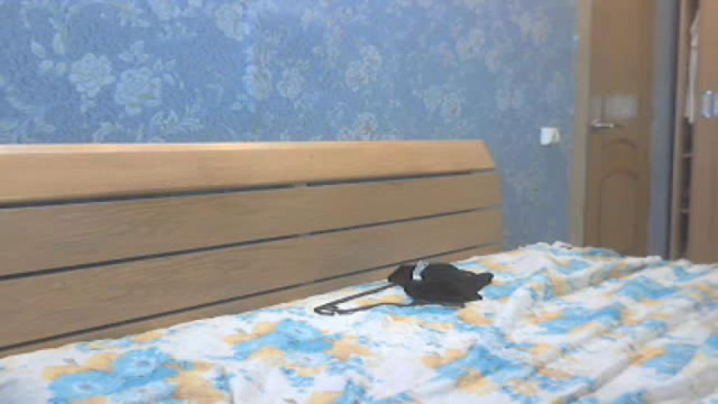 damana download [2017/01/09 10:33:56]
