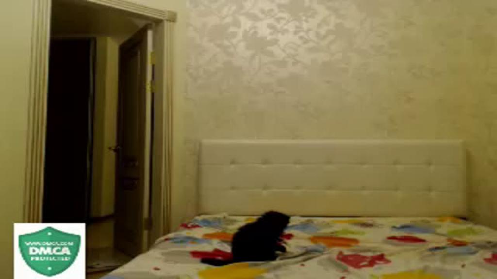 jena2malone recorded [2016/11/19 21:23:38]