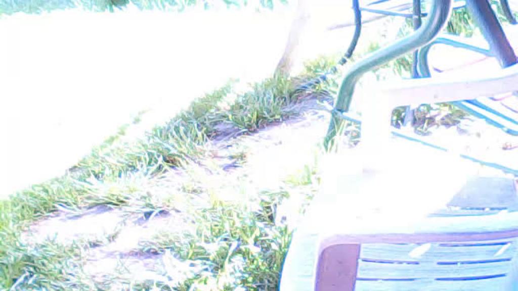 sumienie Masturbating Video [2017/05/27 - 15:20:04]