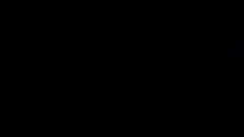 koimbra86