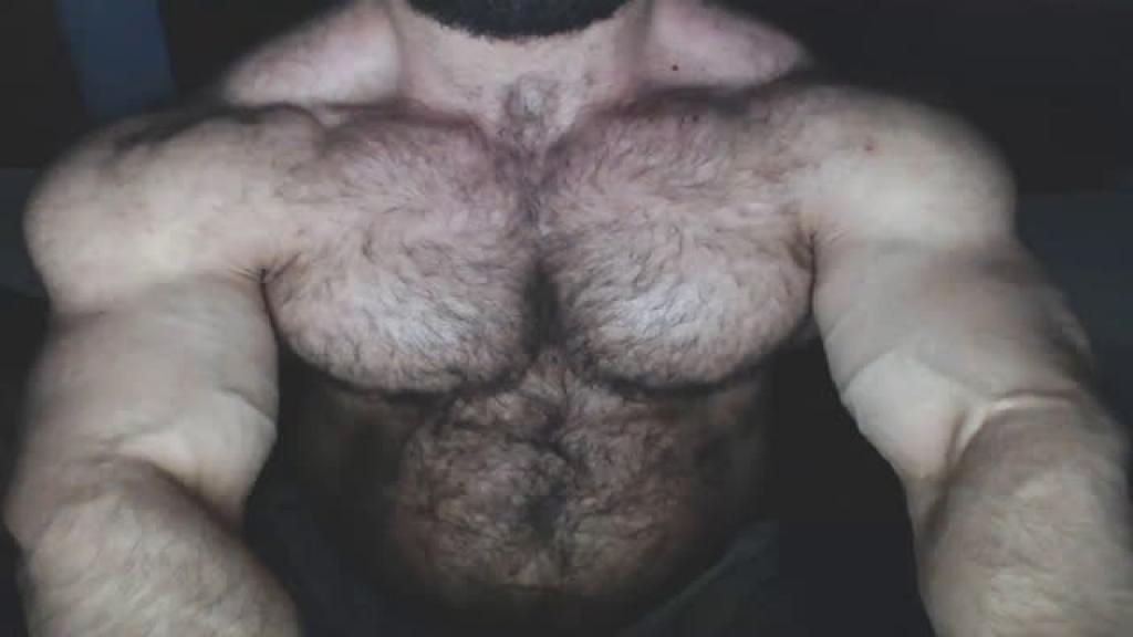 hairymusclegod download [2016/10/16 09:40:18]