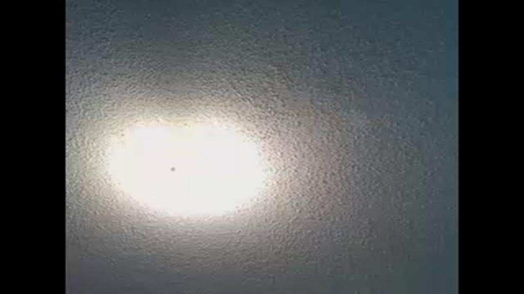 illfreakuright365 video [2017/05/28 11:15:30]