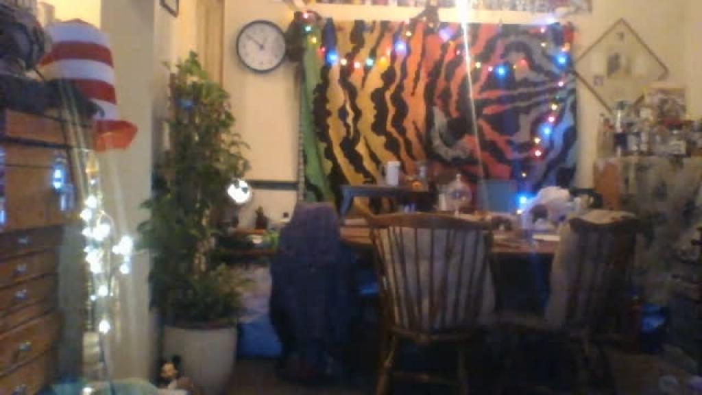 jadejustice Tape Webcam [2017/06/09 - 07:50:27]