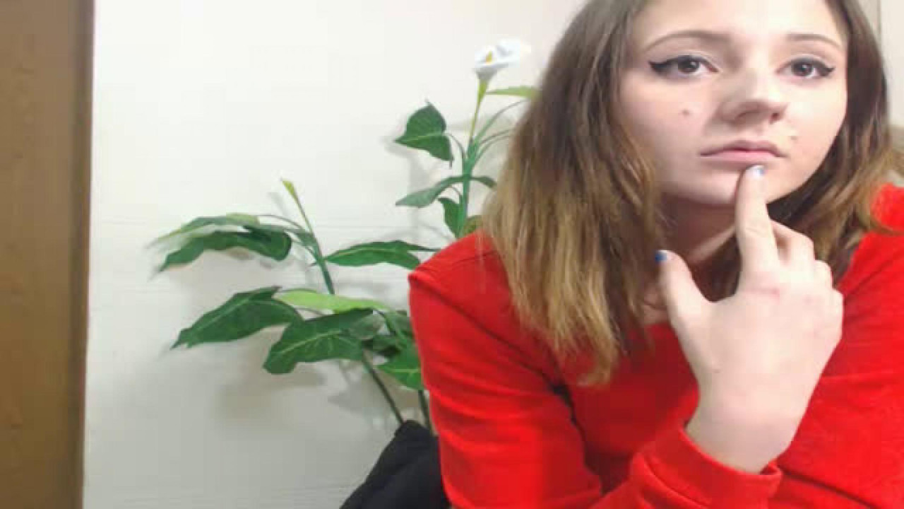 avrorra show [2016/10/19 17:20:52]