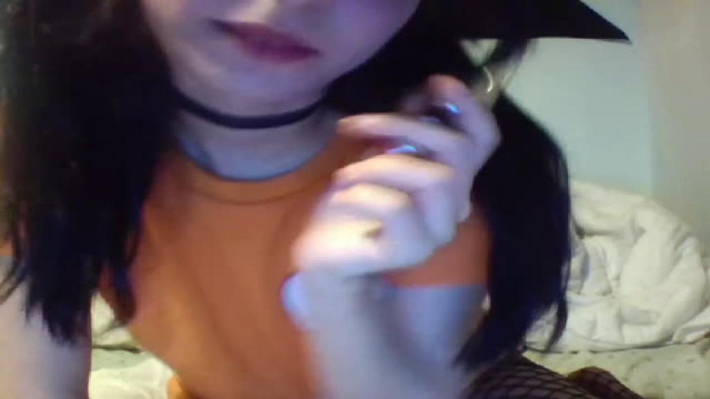 lilyninfeta