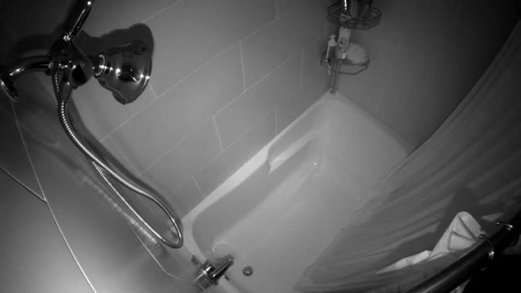 showercam Anal [2017/04/15 - 10:41:18]