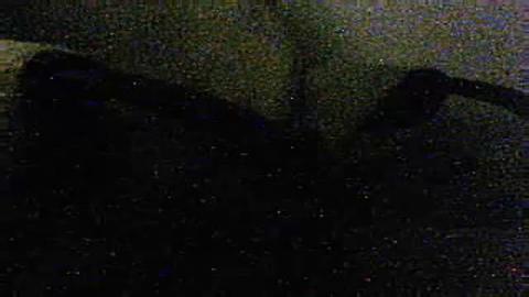 lomilec nude [2016/10/19 15:41:28]