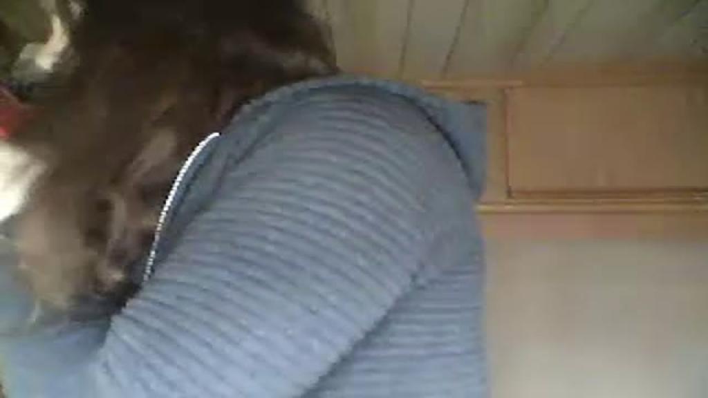 only_blowjob download [2016/11/14 09:26:18]